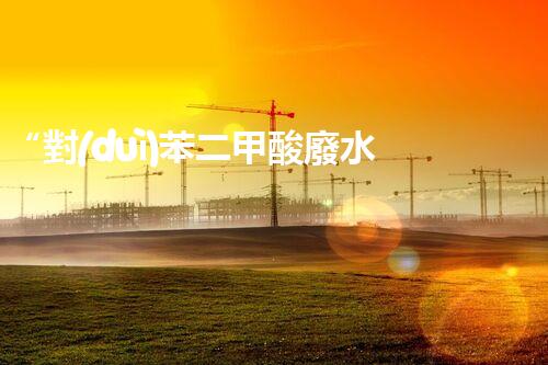 “對(duì)苯二甲酸廢水處理，綠色創(chuàng)新引領(lǐng)環(huán)保新篇章”